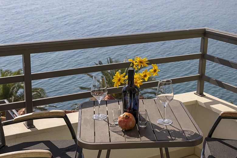 Apartments Villa Filip, Živogošće: balcony with sea view