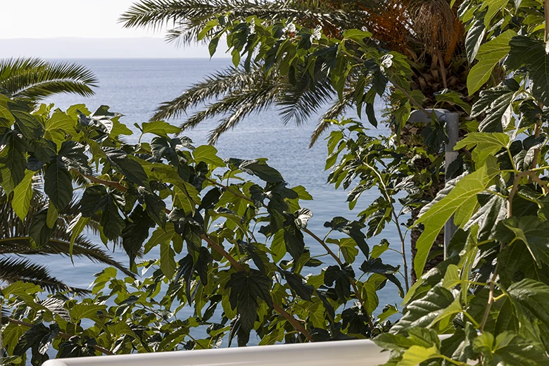 Apartments Porat, Živogošće - balcony with sea view