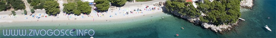 ivogoše (Zivogosce) - header image